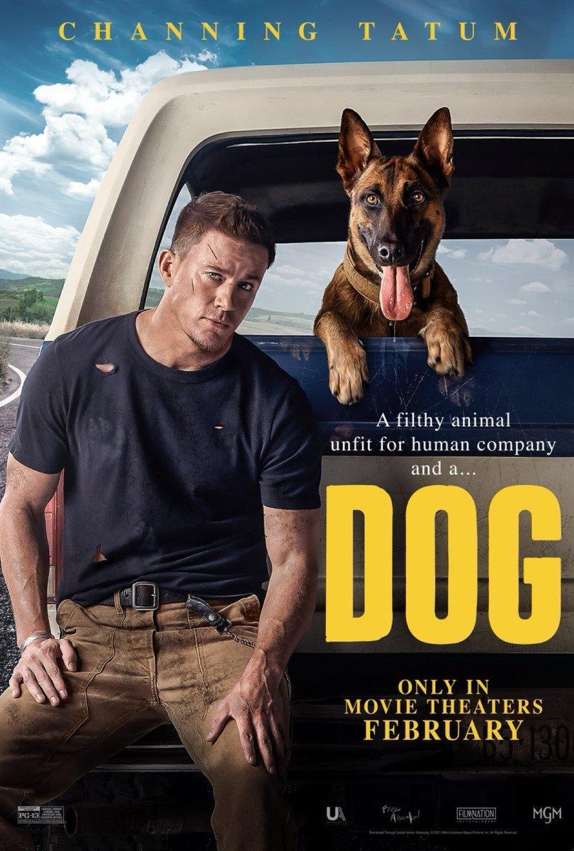 Dog (2022)