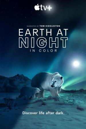 Night on Earth (2021)